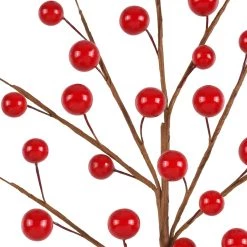 Brand new 🌟 Shiny Red Berry Pick by Ashland® 😍 5 Brand new 🌟 Shiny Red Berry Pick by Ashland® 😍 -Ashland Sales 10670064 2