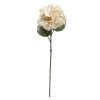 Deals ⌛ Cream Hydrangea Stem by Ashland® 👍 -Ashland Sales 10670751 1