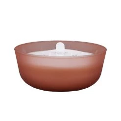 Outlet 😍 6 Pack: 18.7oz. Peony & Rose Candle by Ashland® 🎉