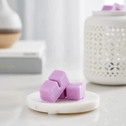Buy ✔️ Lavender & Violet Scented Wax Melt by Ashland® 🤩 -Ashland Sales 10672589 20