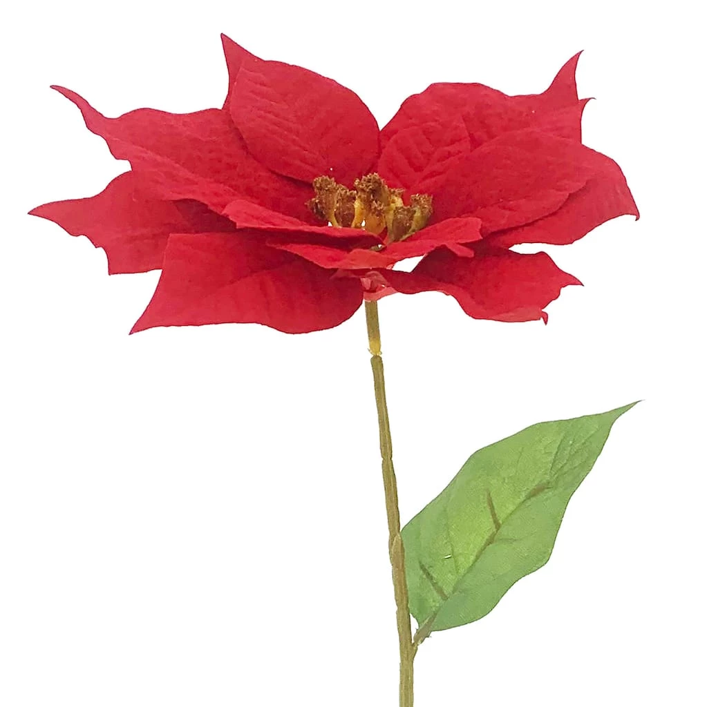 Best Pirce 😍 Red Traditional Poinsettia Stem by Ashland® 🥰 4 Best Pirce 😍 Red Traditional Poinsettia Stem by Ashland® 🥰 - Image 2