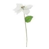 Best reviews of 🔔 White Poinsettia Stem by Ashland® 🤩 1 Best reviews of 🔔 White Poinsettia Stem by Ashland® 🤩 -Ashland Sales 10673410 1