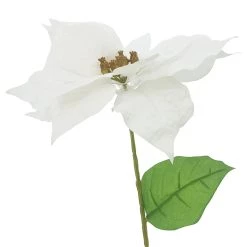 Best reviews of 🔔 White Poinsettia Stem by Ashland® 🤩 -Ashland Sales 10673410 2