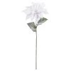Coupon 🛒 White Poinsettia Stem by Ashland® 🛒 1 Coupon 🛒 White Poinsettia Stem by Ashland® 🛒 -Ashland Sales 10673441 1