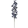 Best reviews of 🥰 Navy Glitter Berry Stem by Ashland® 🤩 -Ashland Sales 10673704 1