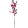 Best reviews of 🤩 Red Clustered Berry Stem by Ashland® 🎉 -Ashland Sales 10673719 1