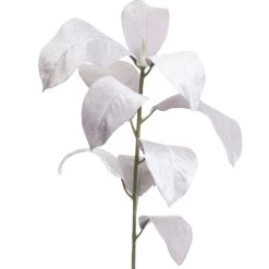 Brand new 🔔 Light Gray Velvet Long Leaf Stem by Ashland® ✨ 6 Brand new 🔔 Light Gray Velvet Long Leaf Stem by Ashland® ✨ -Ashland Sales 10673924 2