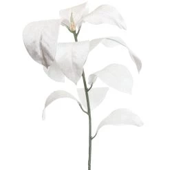 Buy 😀 White Velvet Magnolia Leaves by Ashland® ⭐ -Ashland Sales 10673930 2