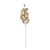 Best Sale 🛒 Champagne Eucalyptus Stem by Ashland® 💯 2 Best Sale 🛒 Champagne Eucalyptus Stem by Ashland® 💯 -Ashland Sales 10674533