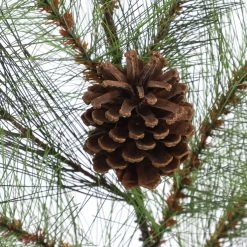 Outlet ⌛ Pine & Pinecone Spray by Ashland® ⌛ -Ashland Sales 10674547 2