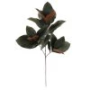 Deals 💯 Dark Green Magnolia Leaves Stem by Ashland® 👍 -Ashland Sales 10674564 1