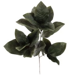 Deals 💯 Dark Green Magnolia Leaves Stem by Ashland® 👍 -Ashland Sales 10674564 2
