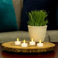 Wholesale 👏 12 Packs: 4 ct. (48 total) White LED Twist Flame Tealight Candles by Ashland® 😀 -Ashland Sales 10675030 8 1