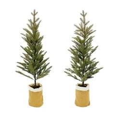 Hot Sale ⌛ Assorted 3ft. Pine Tree in Burlap Bag by Ashland® 🛒