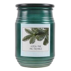 Cheap ✨ Aspen Pine Jar Candle by Ashland® 🌟