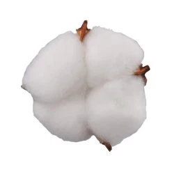 Best reviews of 🛒 White Cotton Pod Decorative Filler by Ashland® 😉 -Ashland Sales 10675976 2