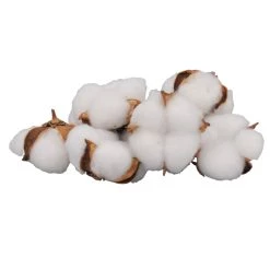 Best reviews of 🛒 White Cotton Pod Decorative Filler by Ashland® 😉 -Ashland Sales 10675976 3