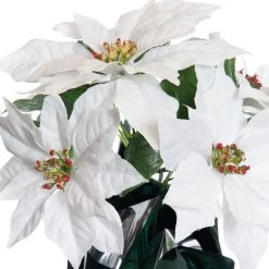 Best Sale 🥰 White Potted Poinsettia with Green Foil by Ashland® ⌛ -Ashland Sales 10676008 2