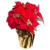 Wholesale π Red Velvet Potted Poinsettia with Gold Foil by Ashland® π 2 Wholesale π Red Velvet Potted Poinsettia with Gold Foil by Ashland® π -Ashland Sales 10676015 1