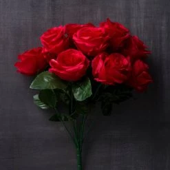 Promo 🛒 12 Pack: Red Rose Bush by Ashland® ⭐ -Ashland Sales 10676296 22