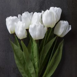 Brand new 🌟 12 Pack: White Tulip Bush by Ashland® 🥰 -Ashland Sales 10676299 22