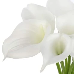 Coupon 🧨 White Calla Lily Bundle by Ashland® ✔️ -Ashland Sales 10676315 3