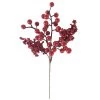 Best deal ⭐ Red Berry Pick by Ashland® 🛒 1 Best deal ⭐ Red Berry Pick by Ashland® 🛒 -Ashland Sales 10676550 1