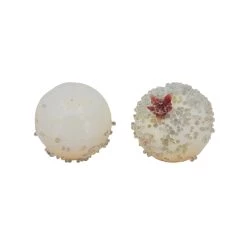 Best Pirce ❤️ Iced White Berry Filler by Ashland® ⭐ -Ashland Sales 10676682 2