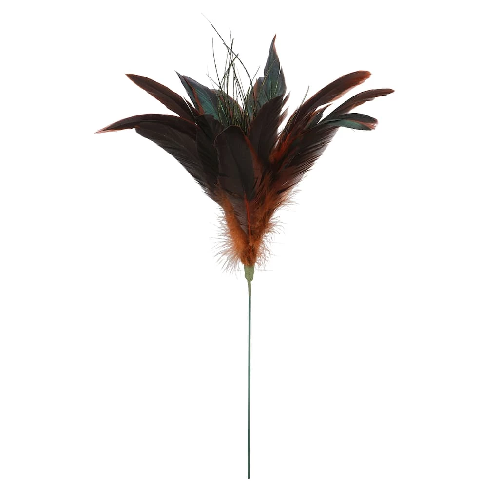 Cheap ✨ Chocolate Peacock Feather Pick by Ashland® 🤩 3 Cheap ✨ Chocolate Peacock Feather Pick by Ashland® 🤩