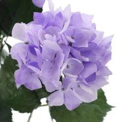 Coupon 🔔 Purple Hydrangea Bush by Ashland® 🛒 -Ashland Sales 10677449 3