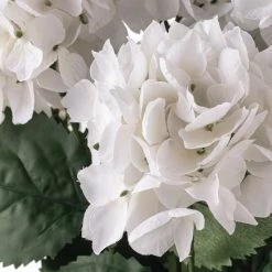 New 🥰 12 Pack: White Hydrangea Bush by Ashland® 🎁 -Ashland Sales 10677450 20 1