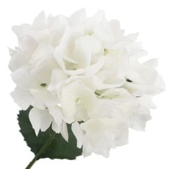 New 🥰 12 Pack: White Hydrangea Bush by Ashland® 🎁 -Ashland Sales 10677450 3 1