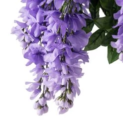 Best Sale 🔥 Purple Wisteria Bush by Ashland® 😍 -Ashland Sales 10677451 20