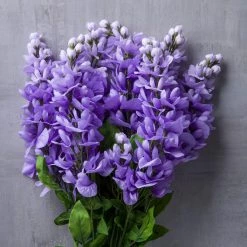 Best Sale 🔥 Purple Wisteria Bush by Ashland® 😍 -Ashland Sales 10677451 22