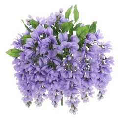 Budget 👍 12 Pack: Purple Wisteria Bush by Ashland® 💯 -Ashland Sales 10677451 5 1