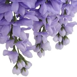 Budget 👍 12 Pack: Purple Wisteria Bush by Ashland® 💯 -Ashland Sales 10677451 6 1