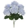 Best reviews of 😀 Light Blue Hydrangea Bush by Ashland® 🌟 -Ashland Sales 10677452 1 1