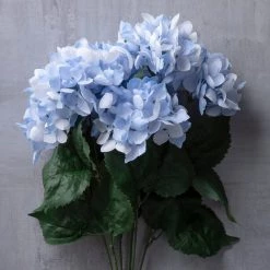 Hot Sale π 12 Pack: Light Blue Hydrangea Bush by Ashland® π― 15 Hot Sale π 12 Pack: Light Blue Hydrangea Bush by Ashland® π― -Ashland Sales 10677452 22