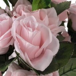 New 🌟 12 Pack: Pink Rose Bush by Ashland® 🎁 -Ashland Sales 10677454 20