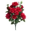 Best reviews of ⌛ 12 Pack: Red Rose Bush by Ashland® 🤩 -Ashland Sales 10677456 1 1