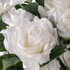 Best reviews of 😉 White Rose Bush by Ashland® ❤️ -Ashland Sales 10677458 20