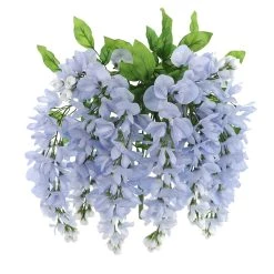 Best Pirce ✔️ Blue Wisteria Bush by Ashland® 🔔 -Ashland Sales 10677460 5