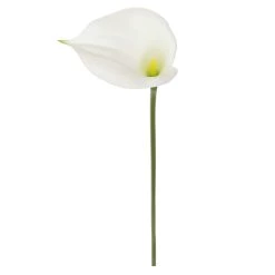 Outlet 😉 White Calla Lily Stem by Ashland® 🤩 -Ashland Sales 10679176 2