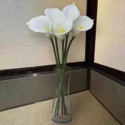 Outlet 😉 White Calla Lily Stem by Ashland® 🤩 -Ashland Sales 10679176 4