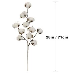 Coupon ⌛ Cotton Stem by Ashland® 👍 -Ashland Sales 10679177 3