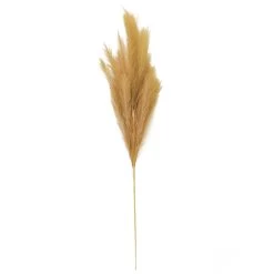 Budget ❤️ Wispy Pampas Grass Stem by Ashland® ✨ -Ashland Sales 10679178 3
