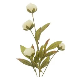 Wholesale ⌛ Cream Peony Stem by Ashland® ✔️ -Ashland Sales 10679180 2