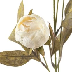 Wholesale ⌛ Cream Peony Stem by Ashland® ✔️ -Ashland Sales 10679180 20