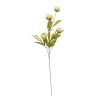 Deals 🤩 Tan Peony Stem by Ashland® 👏 -Ashland Sales 10679183 1