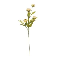 Deals 🤩 Tan Peony Stem by Ashland® 👏